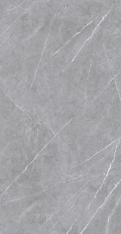 Azario Asmus Grey 60x120 ID 520343 - 1