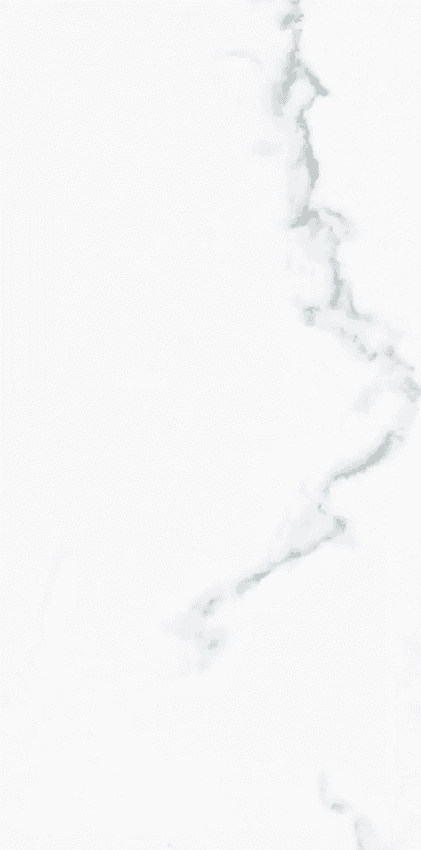 Prissmacer Calacatta Blanco Matt 60x120 ID 504234 - 1