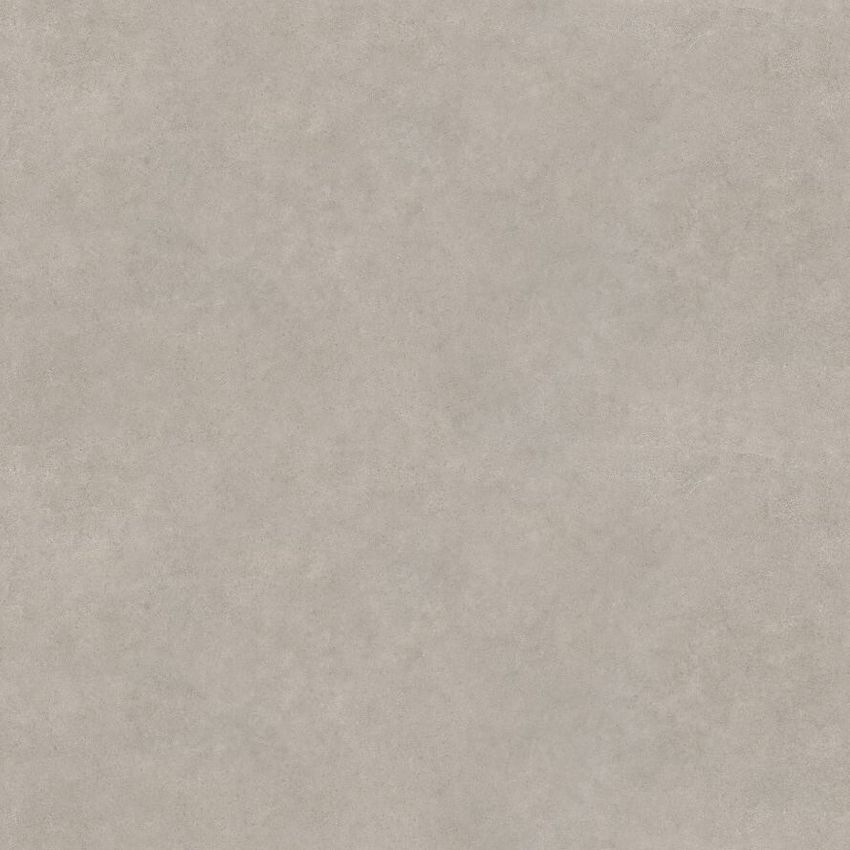 Ecoceramic Celler Gris Mate 60x60 ID 472322 - 1