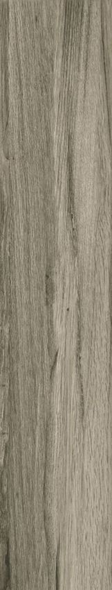 Fanal Ceylan Gris Nplus Rect 22x118 ID 473872 - 1
