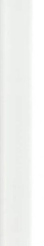 Rako Concept WLRDH035 3x20 ID 414883 - 1