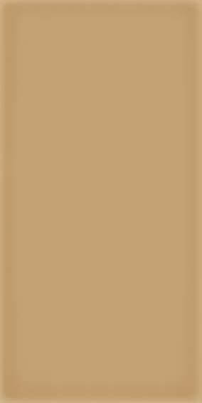 Vives Corso Caramelo 10x20 ID 472087 - 1