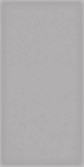 Vives Corso Gris 10x20 ID 472088 - 1