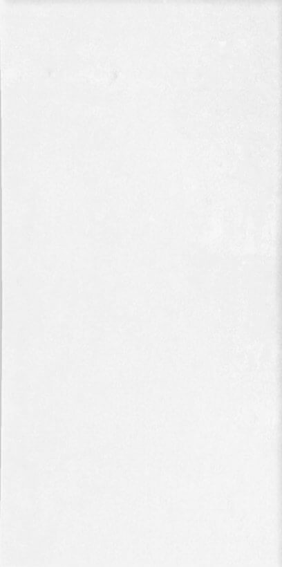 Wow Fez White Matt 6.25x12.5 ID 421115 - 1