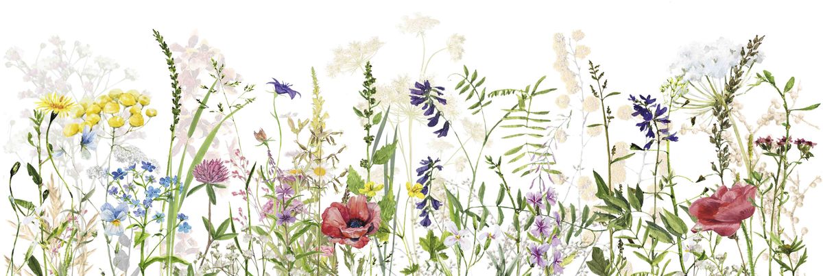 Creto Flora Bloom 20x60 ID 460103 - 1