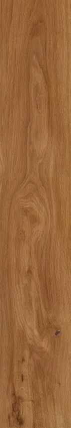 Creto Forest Amber 19.4x120 ID 545395 - 1
