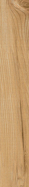 Vives Gamma R-Miel 14.4x89.3 ID 495169 - 1