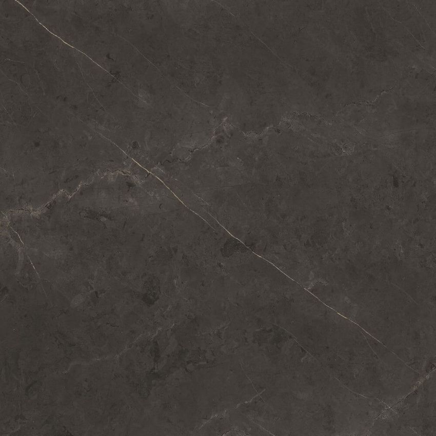 Porcelanosa Karachi Grey L 120x120 ID 501810 - 1