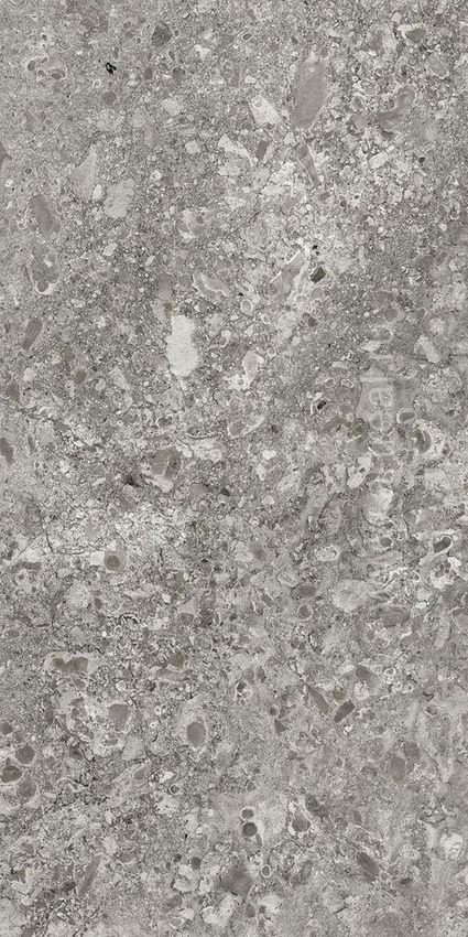 Idalgo Lunar Grey 60x120 ID 519011 - 1