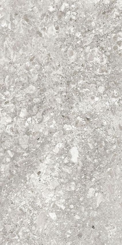 Idalgo Lunar Grey Light 60x120 ID 519010 - 1