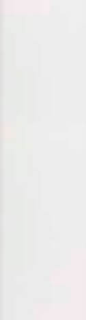 Dar Ceramics Microline White Brillo 5x20 ID 515928 - 1