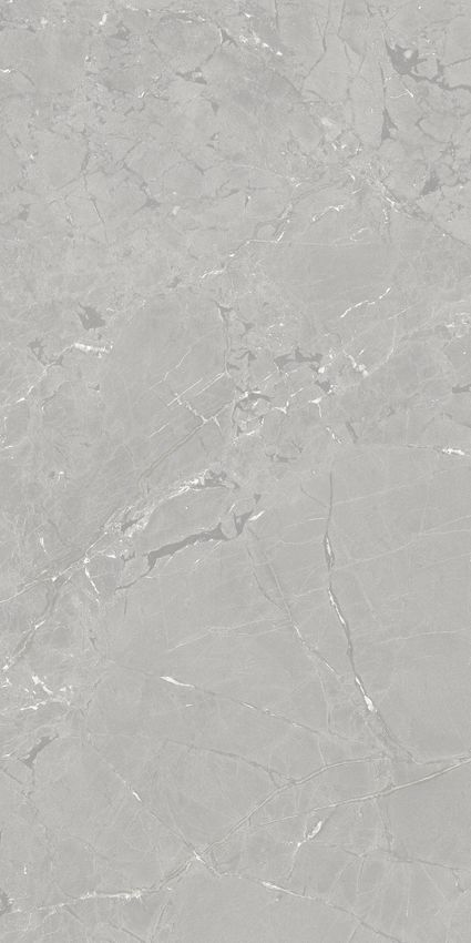Azuvi Neeko Grey 60x120 ID 523591 - 1