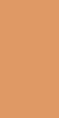 Rako Pool GAAD8150 10x20 ID 219876 - 1