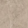 Porcelanite Dos 8215 Vision 5059 50x50 ID 452159