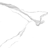 Global Tile Anima Белый 60x60 ID 521514 - 5
