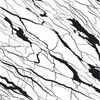 Ornamenta Artwork Marble Key 60x60 ID 483863