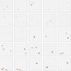 Bardelli Aurora 2 20x20 ID 49712
