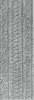 Settecento Azteca Greca Azteca Grigio 16.3x49 ID 284310