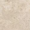 Porcelanite Dos Baltimore Caramel 100x100 ID 477308