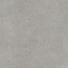 Tau Ceramica Ceppo di Gre Silver 120x120 ID 496332