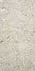 Cercom Ceppo Di Gres Avorio 60x120 ID 498632 - 4