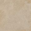 ColiseumGres Червиния Песок 45x45 ID 477748