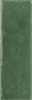 Wow Colour Notes Fennel 4x12.5 ID 519702