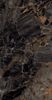 Global Tile Decorum Черный 60x120 ID 521344 - 7