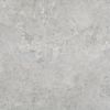 Pamesa Desert Gris 60.8x60.8 ID 472271