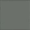 Equipe Evolution Gris Oscuro Brillo 15x15 ID 303130
