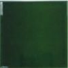 Equipe Evolution Victorian Green 15x15 ID 303183