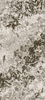 Moreroom Stone Frozen Fox Polished 120x260 ID 524737