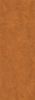 Love Ceramic Tiles Gravity Orange 35x100 ID 468403