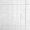 Starmosaic Homework White Antid 48x48 ID 458302