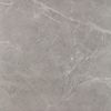 Paradyz Ibis Grys Gres Szkl Mat 60x60 ID 483353