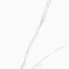 Delacora Life Calacatta 60x60 ID 559542