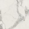 ColiseumGres Michelangelo Колд 60 Рет 60x60 ID 498813