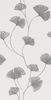 Creto Mono Terreneza 30x60 ID 460127