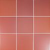Wow Six Coral 11.7x11.7 ID 436928