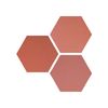 Wow Six Hexa Coral 14x16 ID 436919