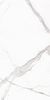 Staro Slim Marbles Calacatta Oro 60x120 ID 475262
