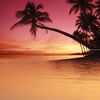 Ceramica Classic Sunset 40x40 ID 243105