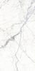 Fanal Windsor White SShine 60x120 ID 501717